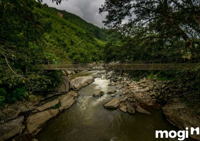 Cầu mây Tả Van là một trong những điểm du lịch hấp dẫn tại Sapa, thuộc tỉnh Lào Cai, thu hút du khách bởi sự đặc biệt và vẻ đẹp tự nhiên của nó.