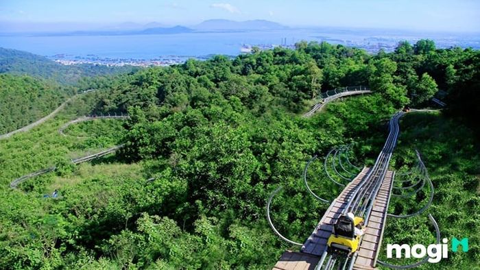 Khi đến Hồ Mây, bạn không thể bỏ qua cơ hội khám phá rừng nguyên sinh nơi đây, một hành trình tuyệt vời đầy bất ngờ.