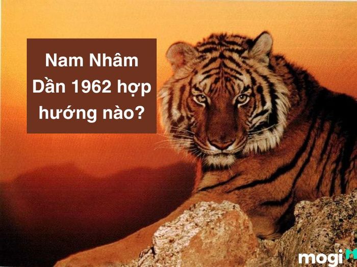 Hướng Nhà Phù Hợp Với Người Tuổi Nhâm Dần 1962