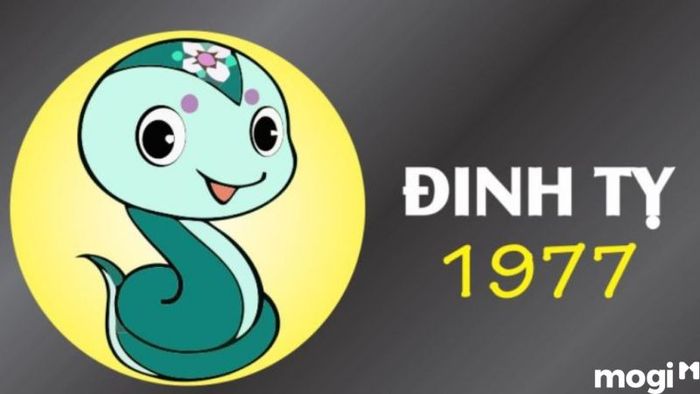 Tử vi tuổi Tỵ năm 2024 theo mệnh