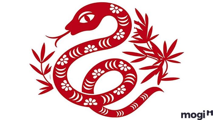 Tổng Quan Tử Vi Người Tuổi Tỵ Năm 2024