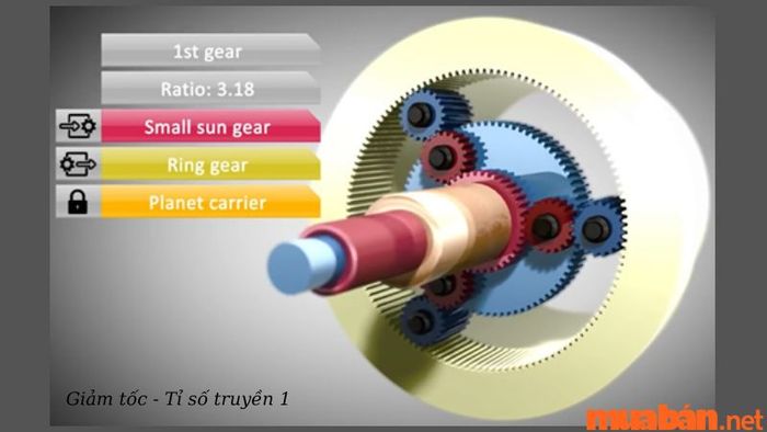 Tỉ lệ truyền 1