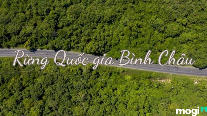 Địa điểm du lịch Vũng Tàu