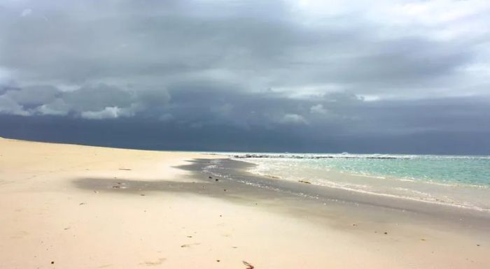 Endless stretches of untouched beach that seem to go on forever.