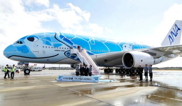 All Nippon Airways' A380s are decorated in vibrant colors inspired by Hawaiian sea turtles.