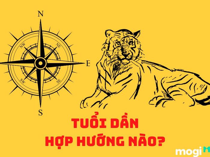 Những Hướng Nhà Tốt Phù Hợp Với Người Tuổi Dần