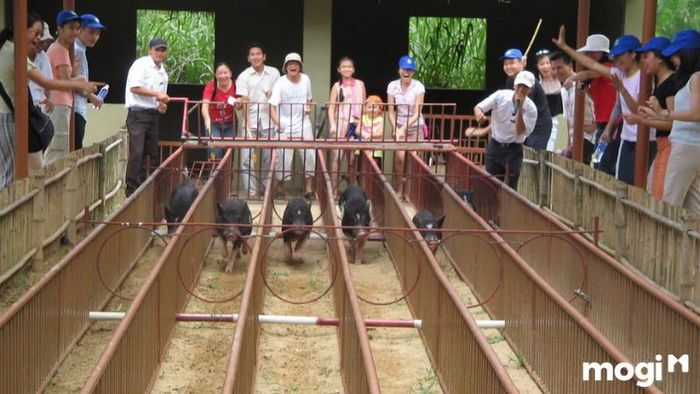 Làng du lịch Mỹ Khánh