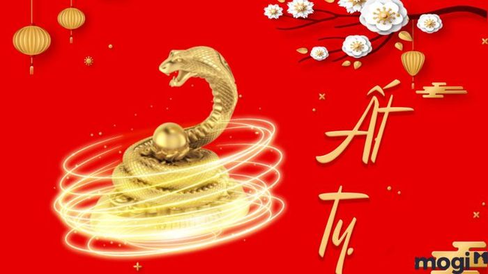 Tử vi tuổi Tỵ 2024 theo mệnh
