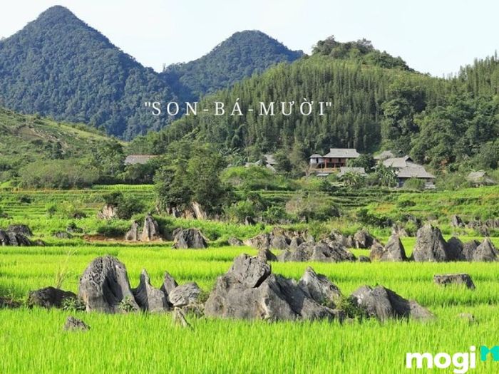 Pù Luông Thanh Hóa