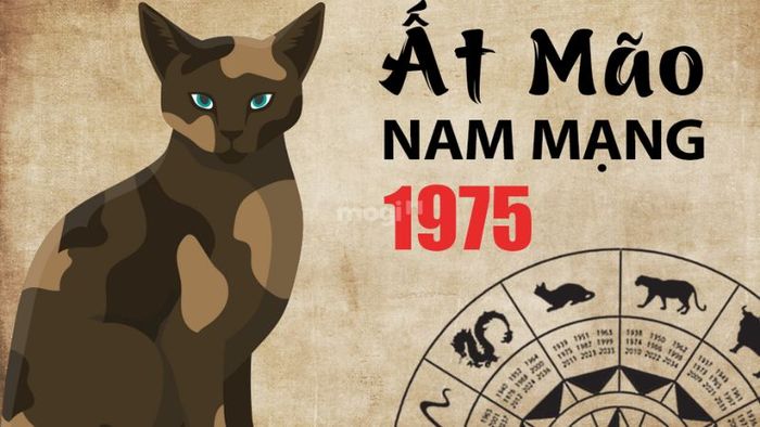 Hướng nhà phù hợp với gia chủ nam mạng tuổi Ất Mão 1975