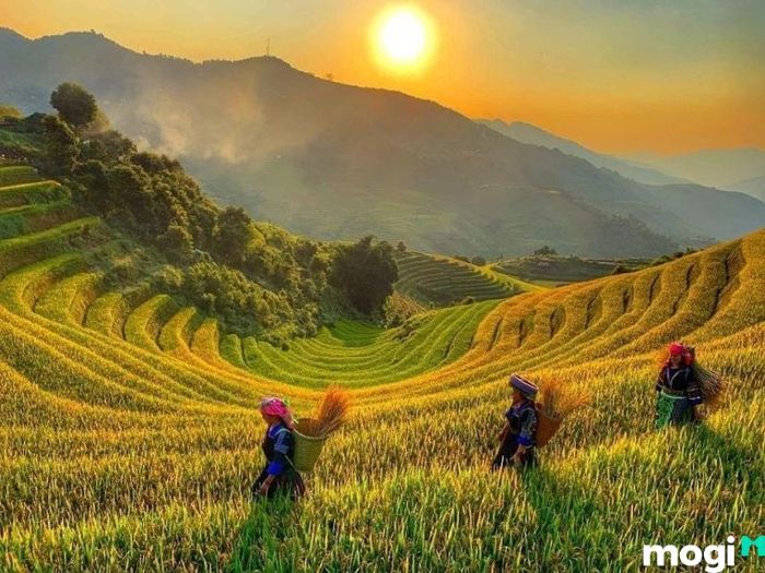 Pù Luông Thanh Hóa