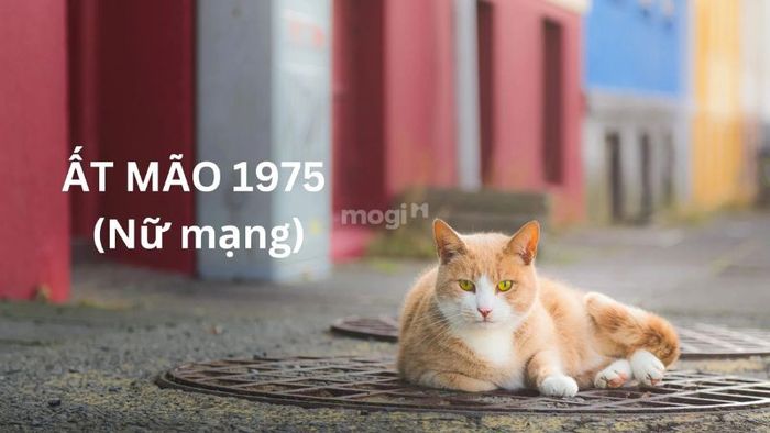 Hướng nhà hợp với nữ mạng tuổi Ất Mão 1975
