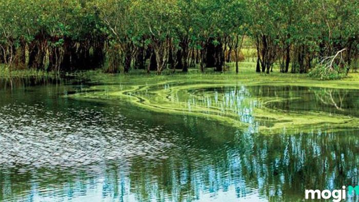 Địa điểm du lịch Vũng Tàu
