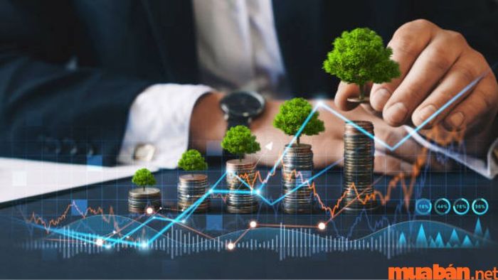 Vốn lưu động dương là gì?