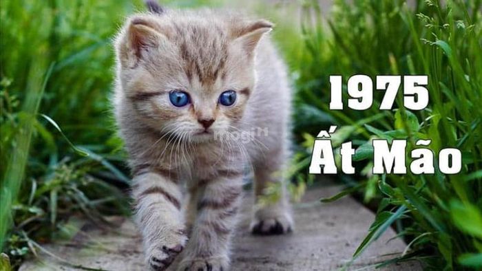 Khái quát về tuổi Ất Mão 1975
