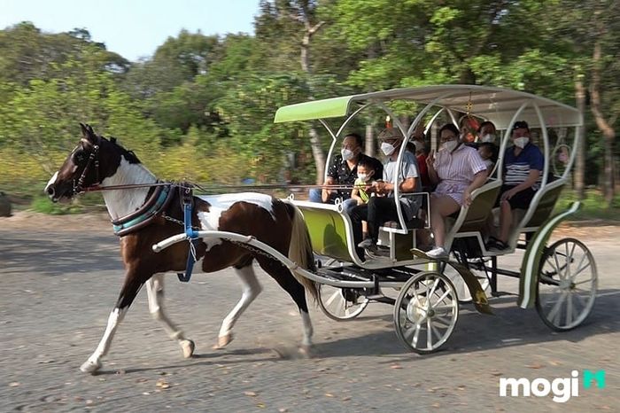 Rất nhiều du khách yêu thích việc đi xe ngựa vòng quanh khu du lịch Hồ Mây để tận hưởng không gian thiên nhiên thơ mộng.