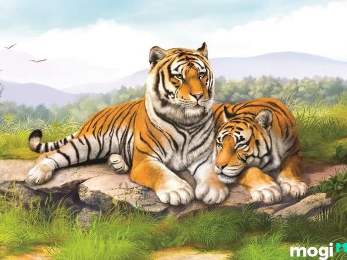 Người Tuổi Dần Sinh Vào Những Năm Nào?