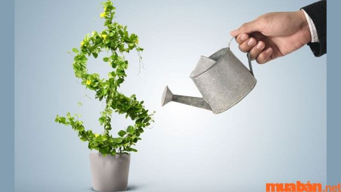 Vốn lao động đầu tư (Working Capital Investment)