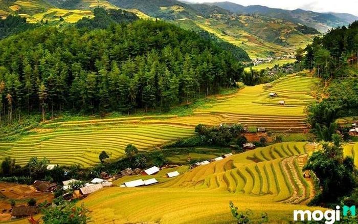 Pù Luông Thanh Hóa