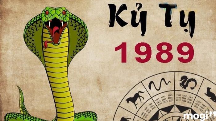 Tử vi tuổi Tỵ năm 2024 theo mệnh