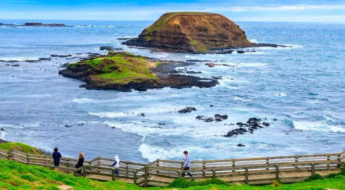 The Nobbies is a well-known part of Phillip Island, famous for being home to a large seal colony.