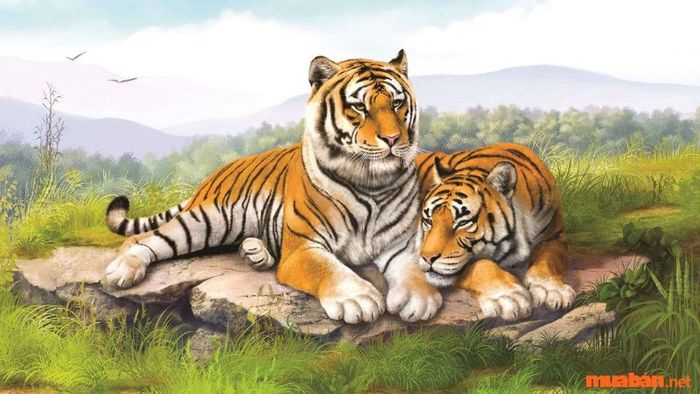 Tử vi Bính Dần sinh năm 1986