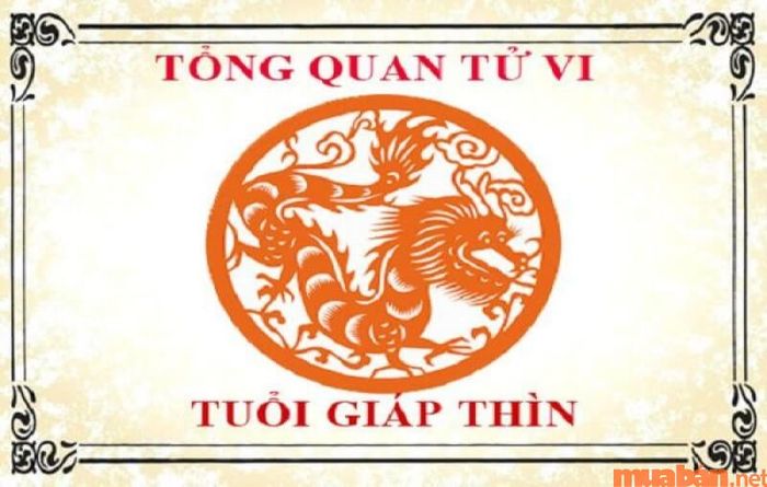 Tổng quan về tuổi Giáp Thìn sinh năm 1964