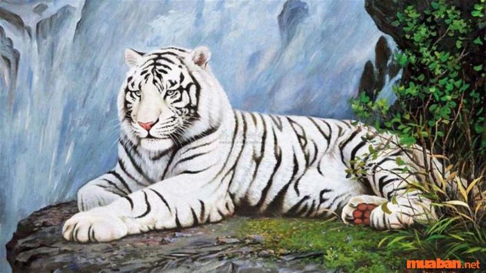 Tử vi Mậu Dần sinh năm 1998