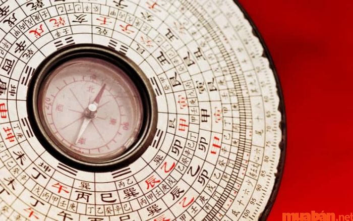 Cung phi trong tử vi Giáp Thìn 1964 nữ mạng năm 2024