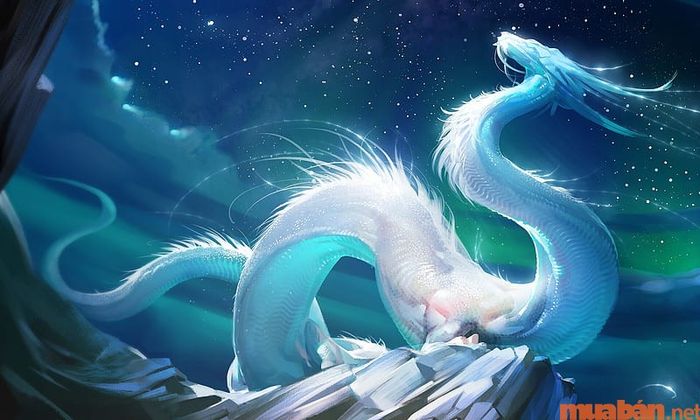 Địa chi của tuổi Giáp Thìn và năm 2024 trùng nhau sẽ tác động như thế nào đến cuộc sống của bản mệnh?