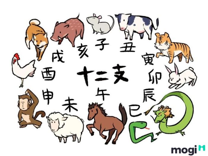 12 Con Giáp Việt Nam Là Gì?