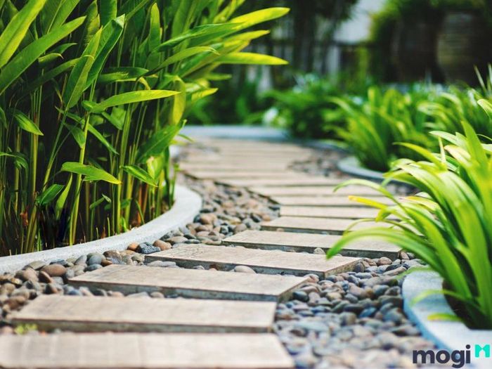 Lối đi từ cổng vào nhà