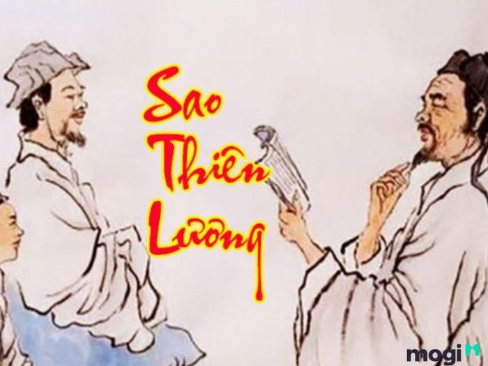 Tử tức là gì?