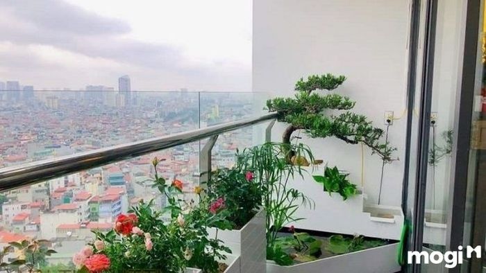 hướng nhà chung cư