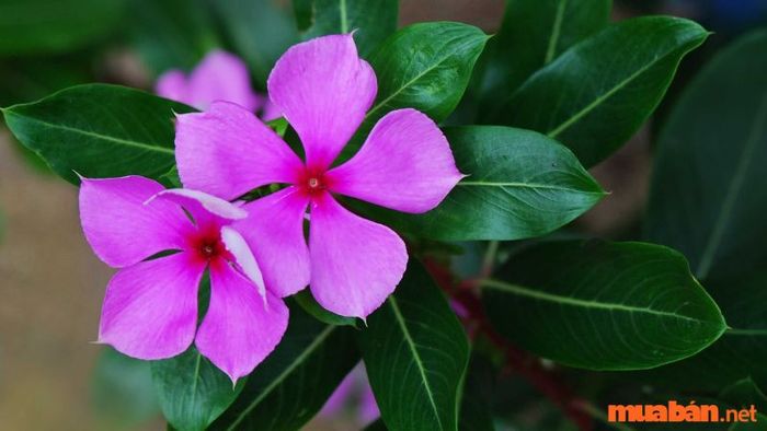 Những điều cần lưu ý khi sử dụng