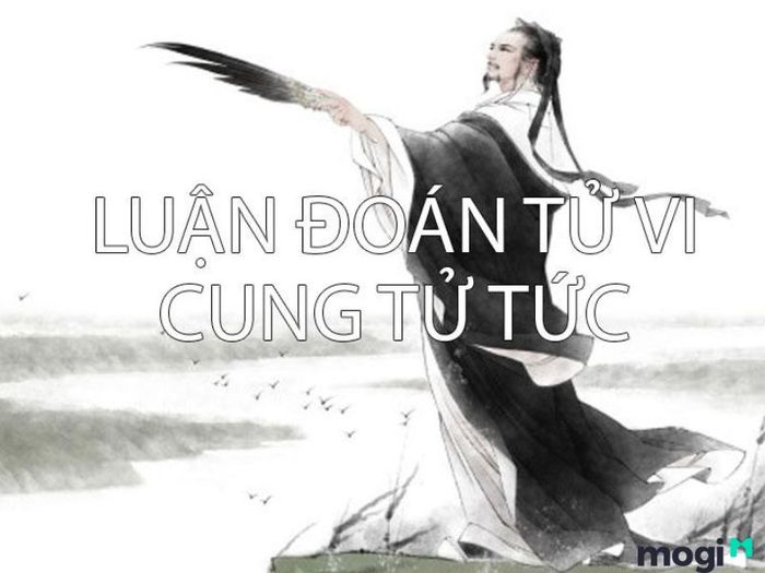 Tử tức là gì?