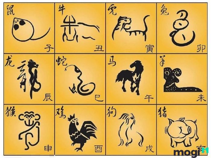 12 Con Giáp Việt Nam Là Gì?