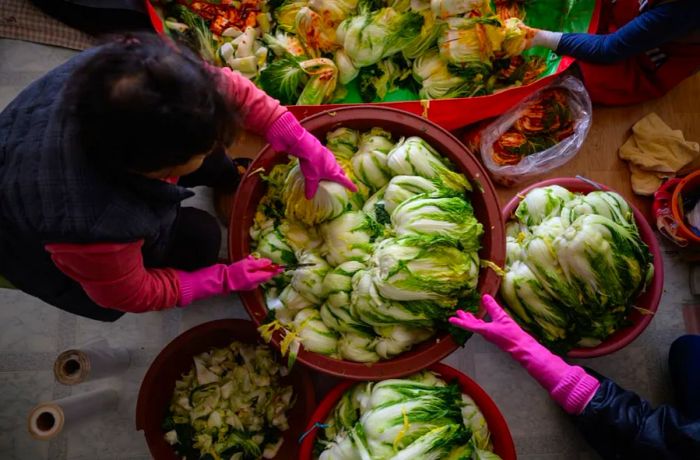 Women prepare cabbage to make kimchi during the traditional communal process known as 'kimjang.'