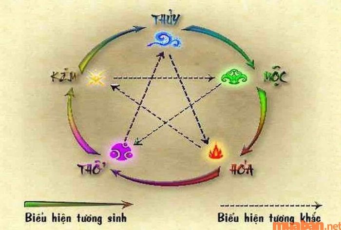 Phân tích ngũ hành tử vi Giáp Thìn 1964 nam mạng năm 2024