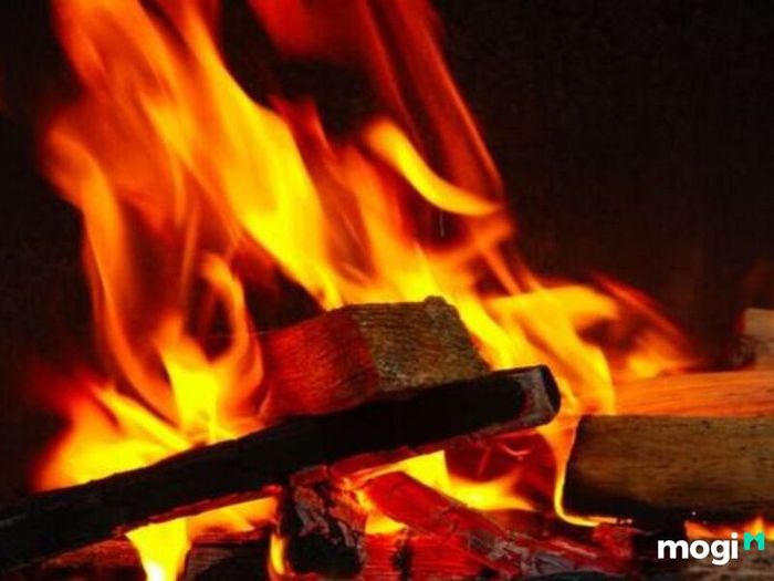 Mối quan hệ giữa Tang Đố Mộc và Lư Trung Hỏa