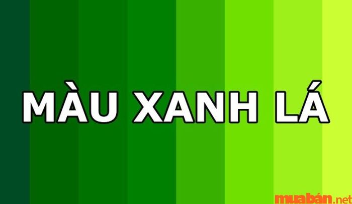 Màu xanh lá sẽ là màu mang đến sự may mắn cho người tuổi Nhâm Ngọ.
