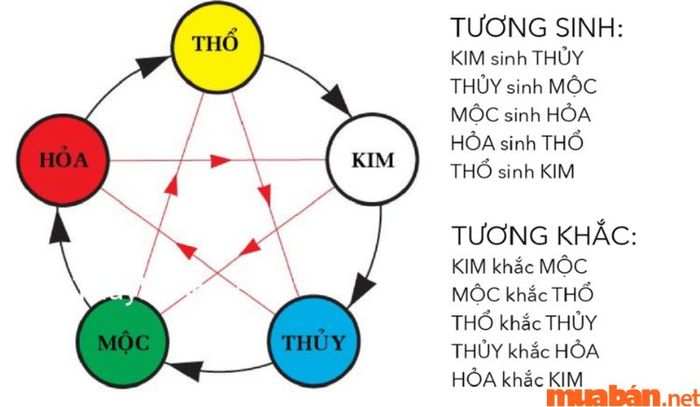 Theo ngũ hành, năm nay sẽ không thuận lợi cho chủ mệnh Nhâm Ngọ 2002, dự báo nhiều điều không may xảy ra.