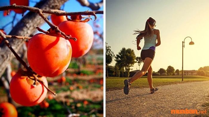 Nên thực hiện những việc gì trong tiết Sương Giáng?