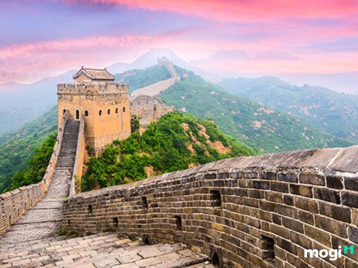 Mối quan hệ giữa Tang Đố Mộc và Thành Đầu Thổ
