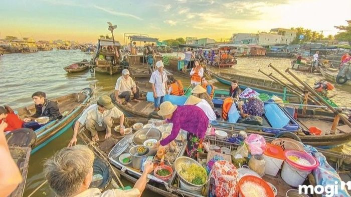 cau-tinh-yeu-can-tho-10