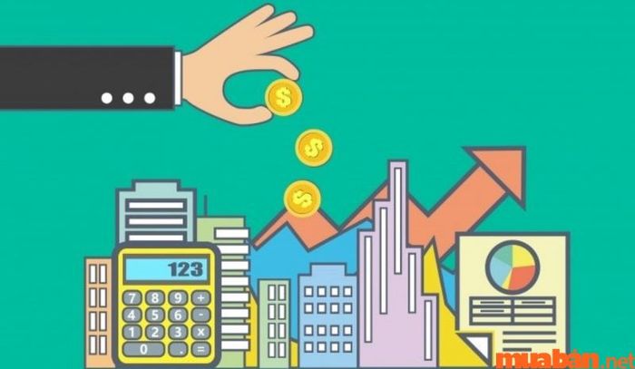 Tử vi Nhâm Ngọ 2002 nữ mạng năm 2024 dự báo tài chính gặp khó khăn, có thể xảy ra tình trạng hao hụt