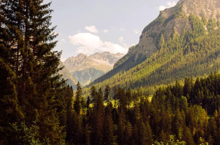 Scenic Views from the Glacier Express