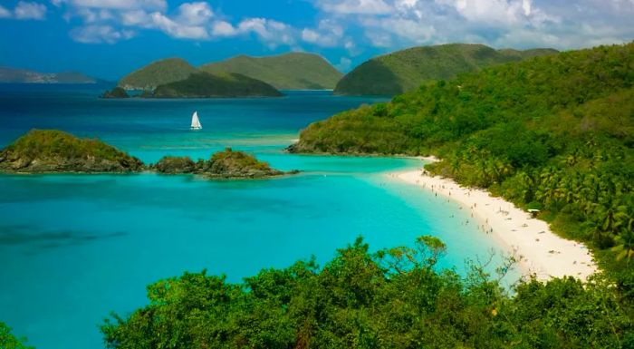 Grab your swimwear and head to the sparkling waters of Trunk Bay in Virgin Islands National Park.