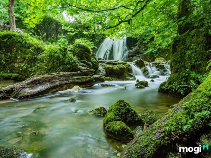 Mối quan hệ giữa Tang Đố Mộc và Đại Khê Thủy