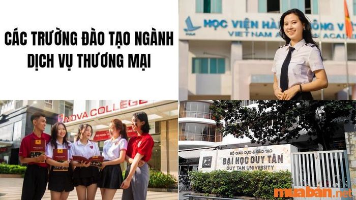 Dịch vụ thương mại hàng không là gì? Những cơ sở đào tạo chuyên ngành hiện nay